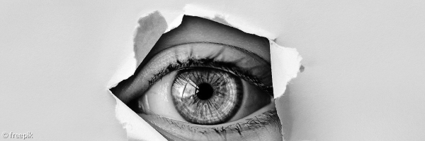 Auge