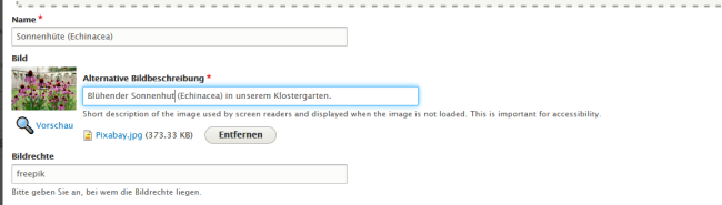 Screenshot einer korrekten Bildbeschreibung